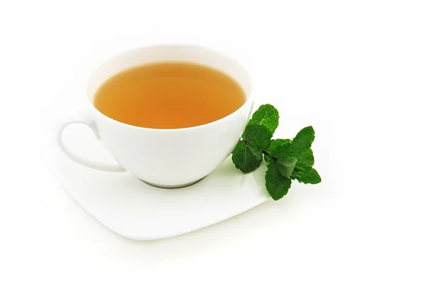 プランツペアレンティングって何？初心者向け観葉植物育児の魅力と始め方