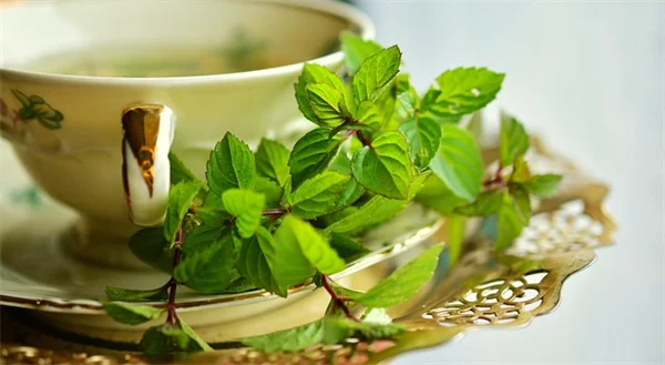 ガーデニング手袋の選び方!おすすめ12選と失敗しないコツ