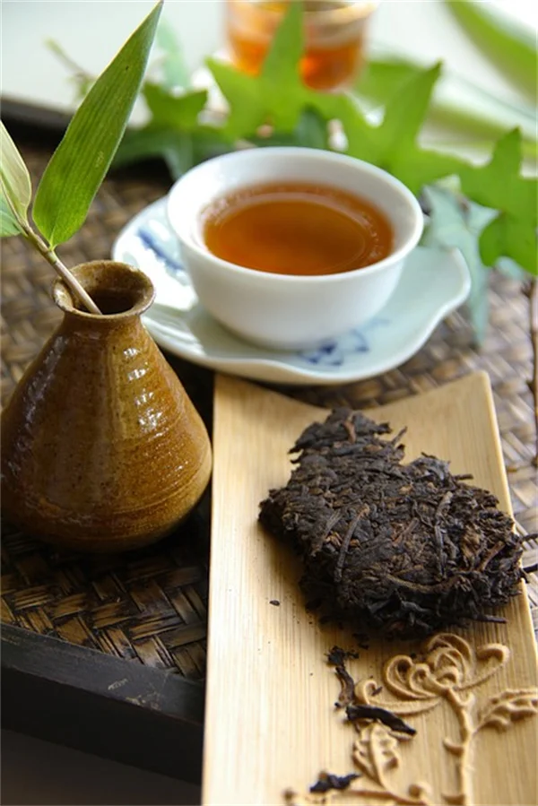 プロが教える！安い高床式菜園（raised garden bed）の作り方